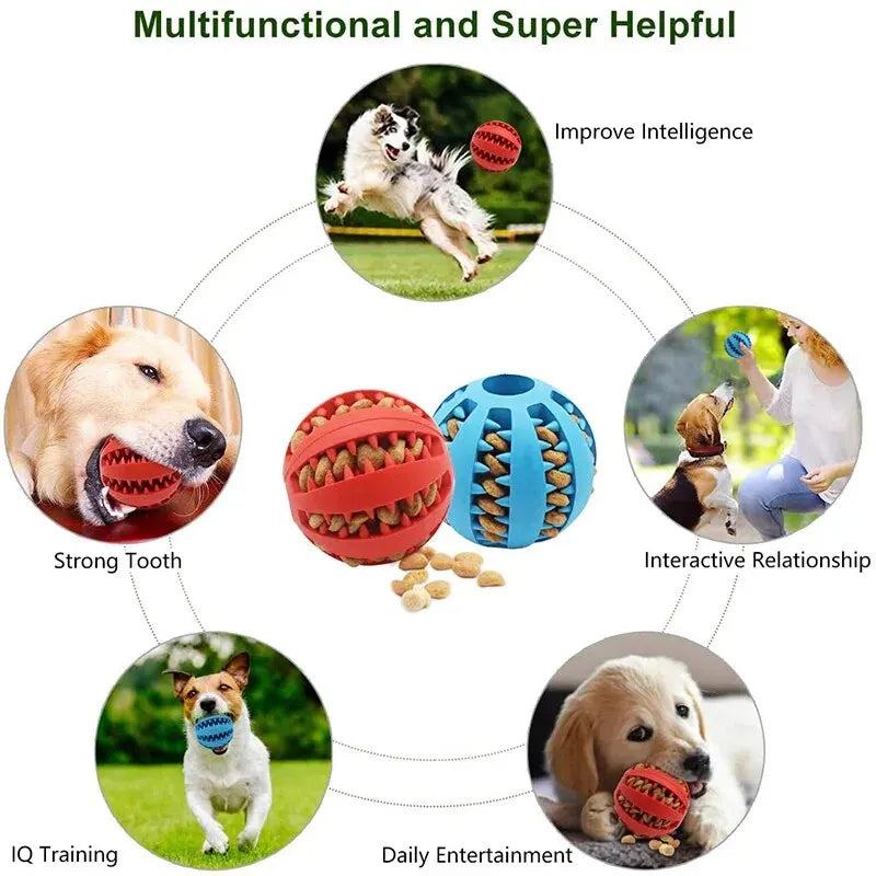 Balle jouet pour chien — Jouet à mâcher et distributeur de friandises non toxique pour chiens