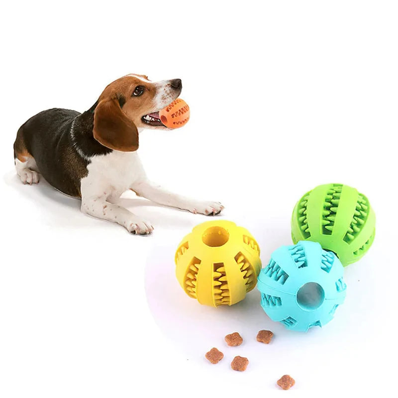 Balle jouet pour chien — Jouet à mâcher et distributeur de friandises non toxique pour chiens