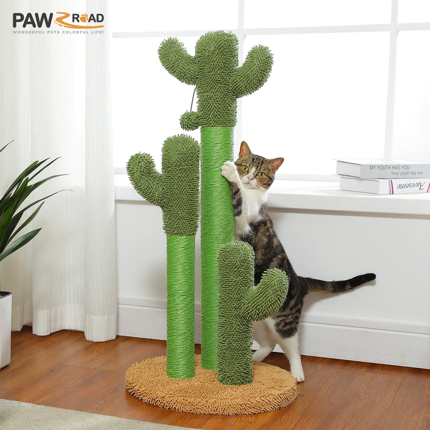 Arbre à chat cactus — Griffoir en sisal haut avec balle suspendue