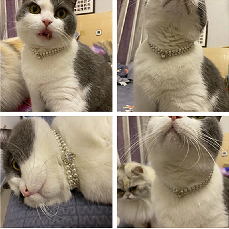 Collier de luxe pour chat et chiot, perles et strass, pour chats et petits chiens, race Ragdoll et Sphynx, accessoires pour animaux de compagnie