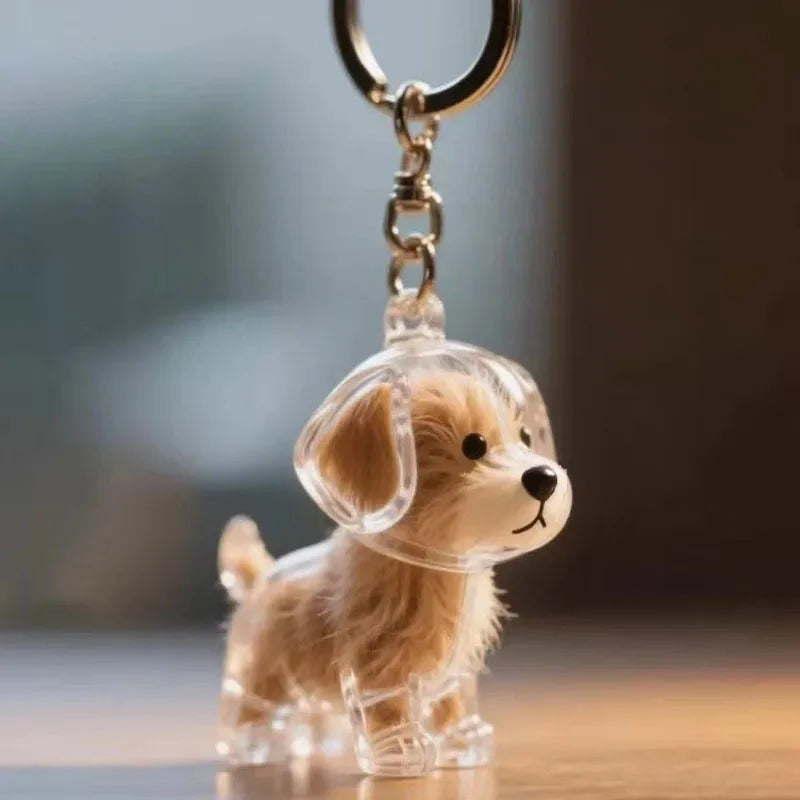 Capsule de Rangement en Résine pour Poils d'Animaux (Commémorative) Créative, Pendentif Unique en Poils de Chat/Chien, Porte-clés Nouveauté, Souvenir Tendance, Décoration de Voiture, Cadeau