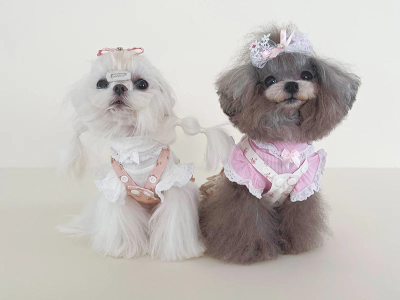 Robe chiot imprimé fleuri — Jupe d'été pour chiens petits et moyens