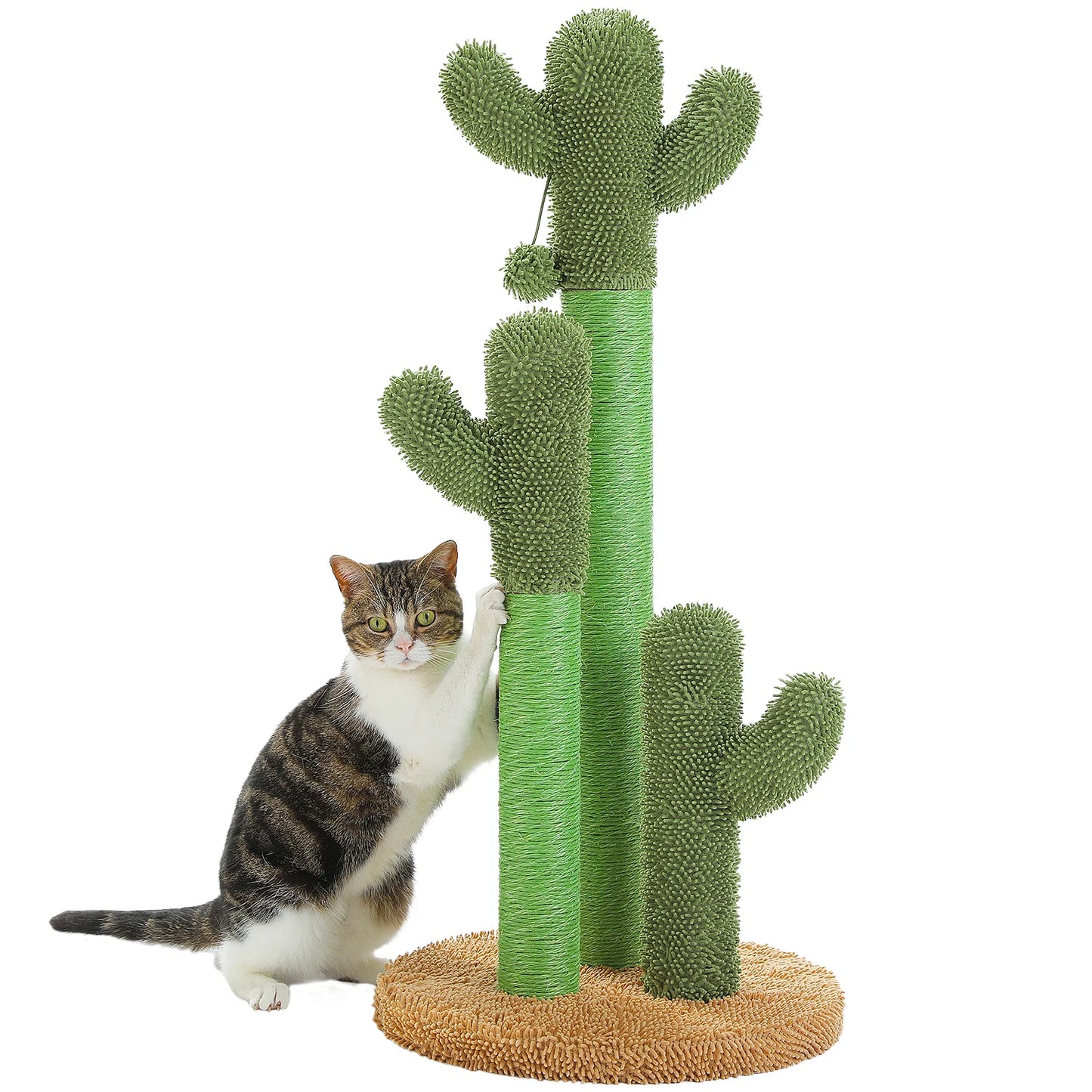 Arbre à chat cactus — Griffoir en sisal haut avec balle suspendue