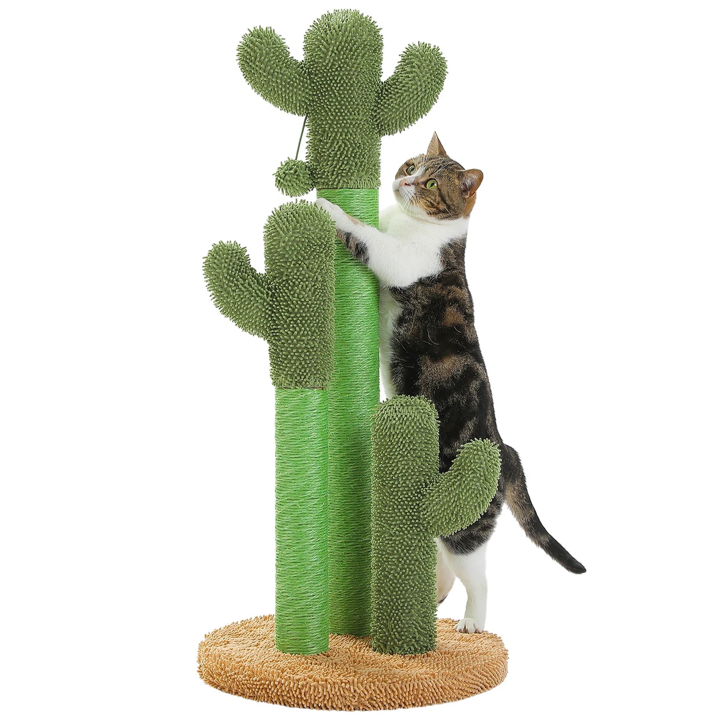 Arbre à chat cactus — Griffoir en sisal haut avec balle suspendue