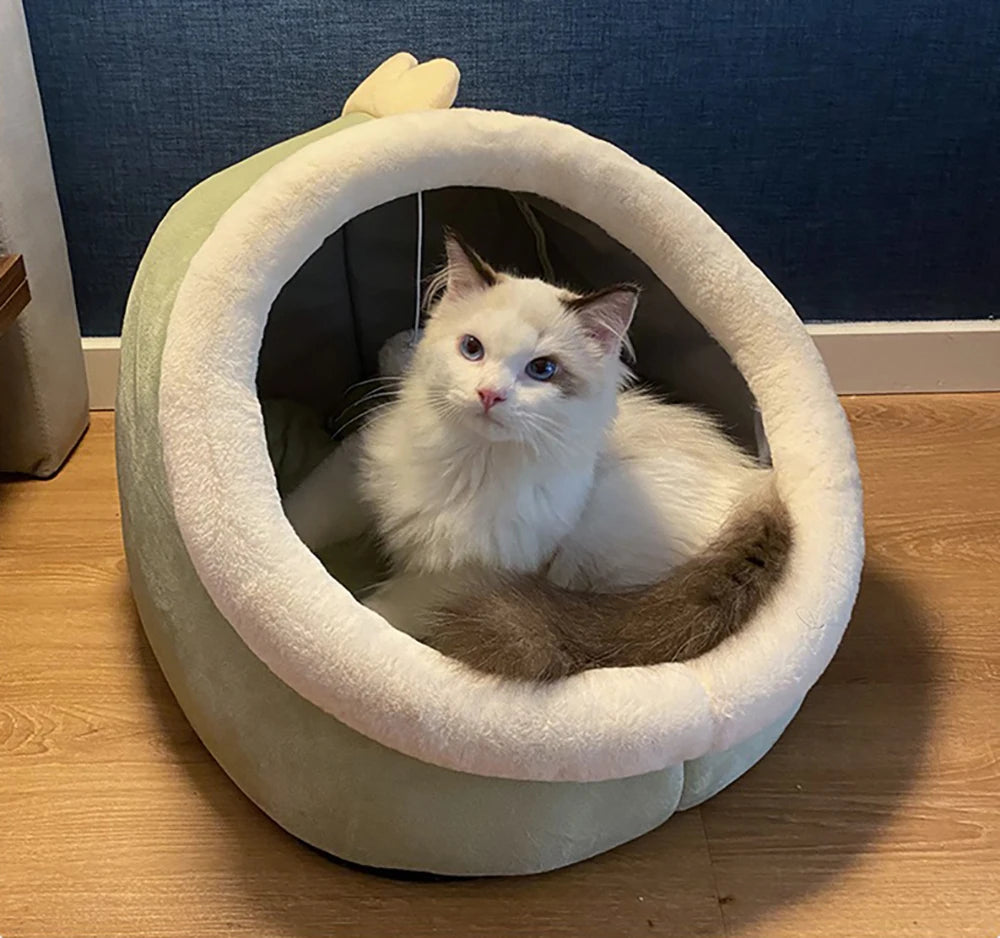 Lit pour chat à sommeil profond, lit pour animaux de compagnie en dessin animé, lit pour animaux de compagnie pliable, amovible et lavable, pour petit chien, tapis, sac, grotte, lit pour chats
