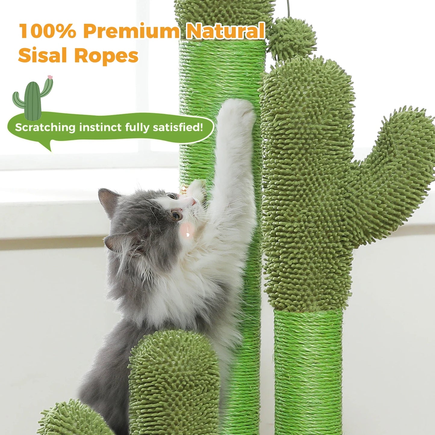 Arbre à chat cactus — Griffoir en sisal haut avec balle suspendue