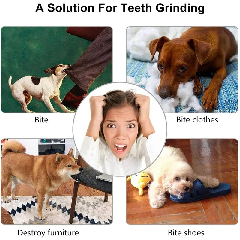 Balle jouet pour chien — Jouet à mâcher et distributeur de friandises non toxique pour chiens