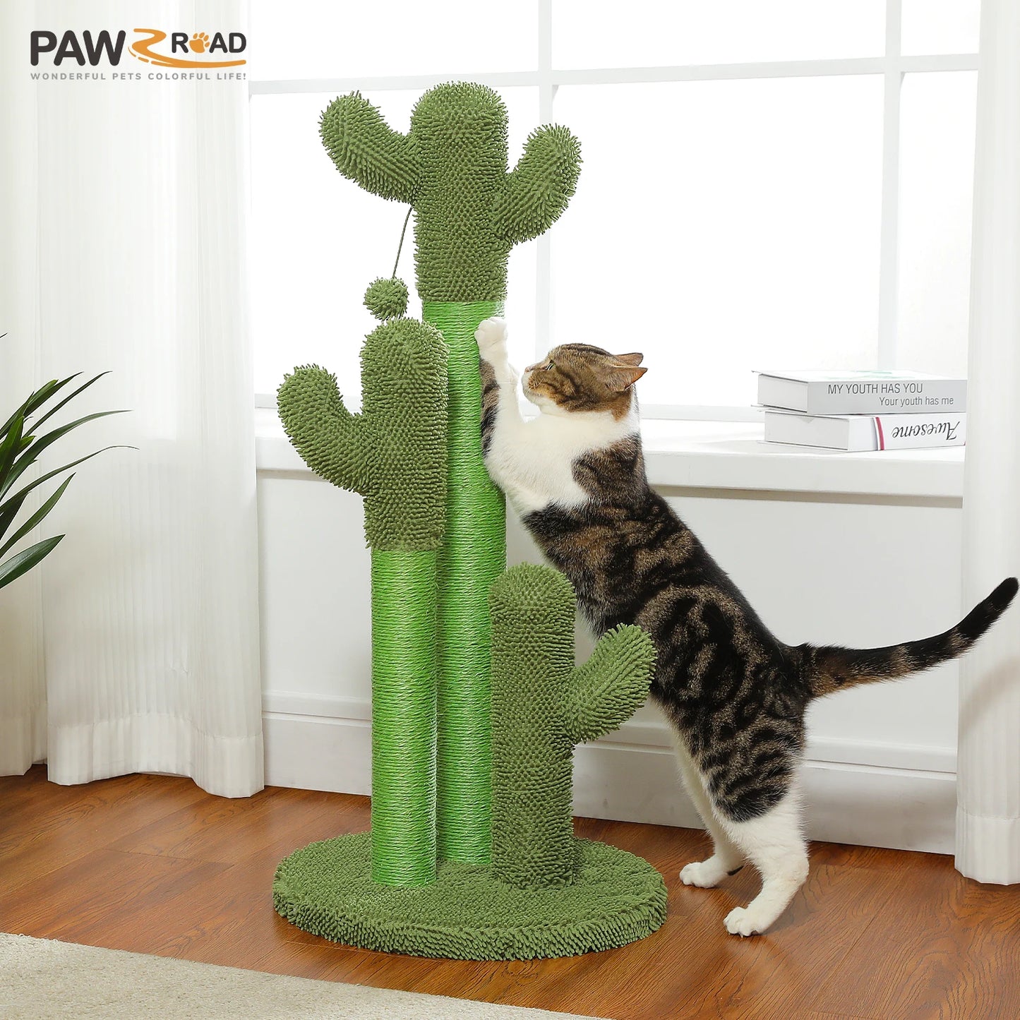 Arbre à chat cactus — Griffoir en sisal haut avec balle suspendue